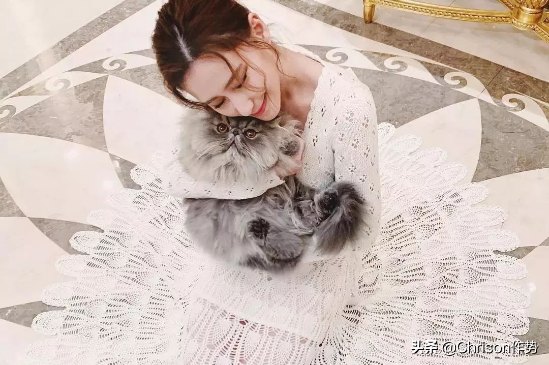 赌王的千金与公子们,赌王千金和歌星