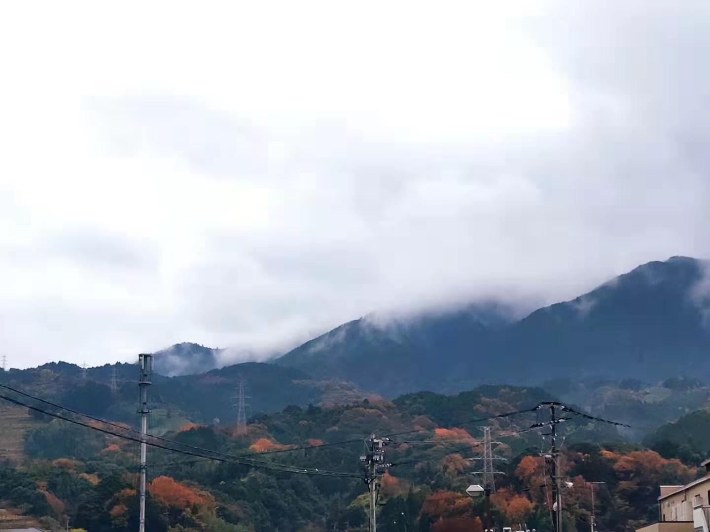 日本福冈游学之旅——中村学园大学，公立的九州大学与鹿儿岛大学