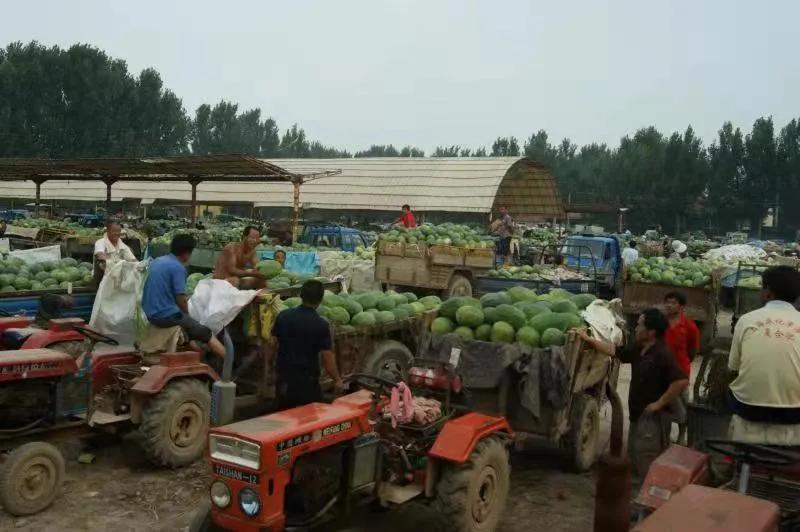 一村一品亿元村,一村一品打造乡村产业