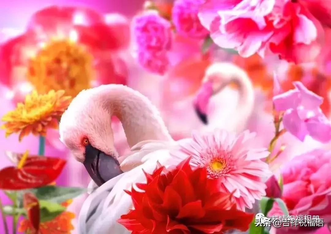 短短几字句句戳心,写得好的经典的句子