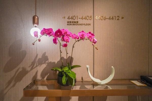 珠海看港珠澳大桥酒店,港珠澳大桥附近住宿