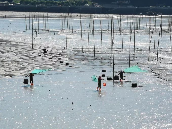 霞是光，浦是海：光与海的对话，吟唱出最美的滩涂