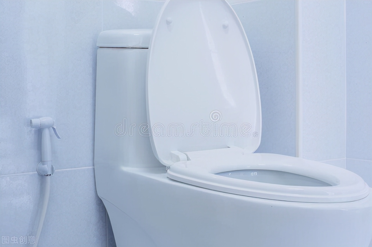 蹲便一定比坐便好?洁厕块危害身体健康?这些年你上对厕所了吗