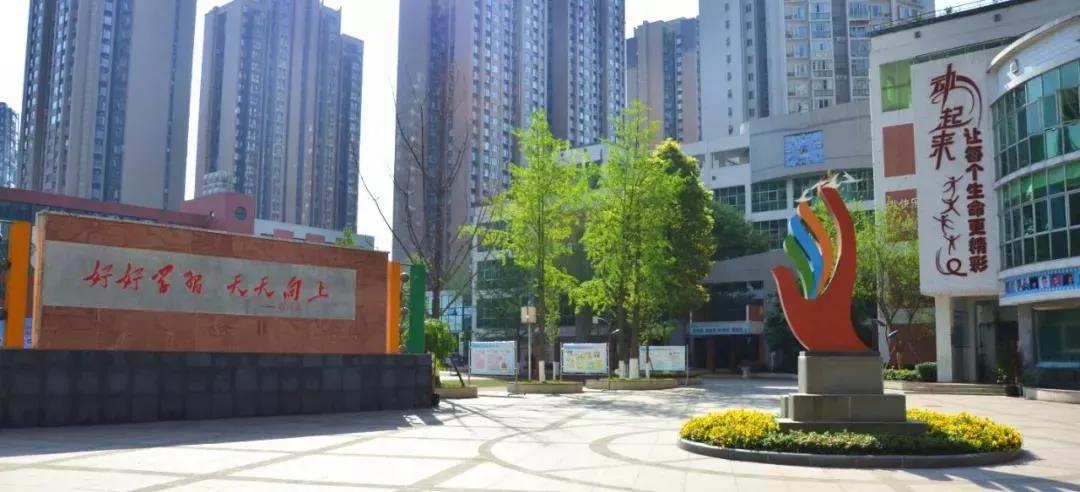 电子科大附中排名,电子科大附属小学排名