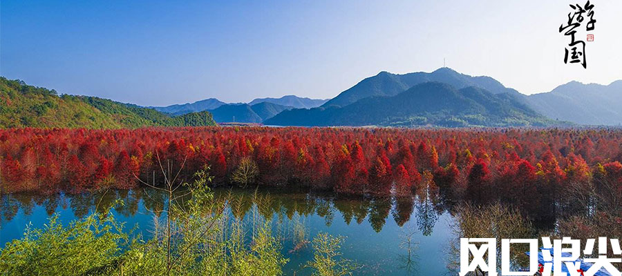 白居易和琵琶女经历相同之处,白居易和琵琶女为什么成为知己