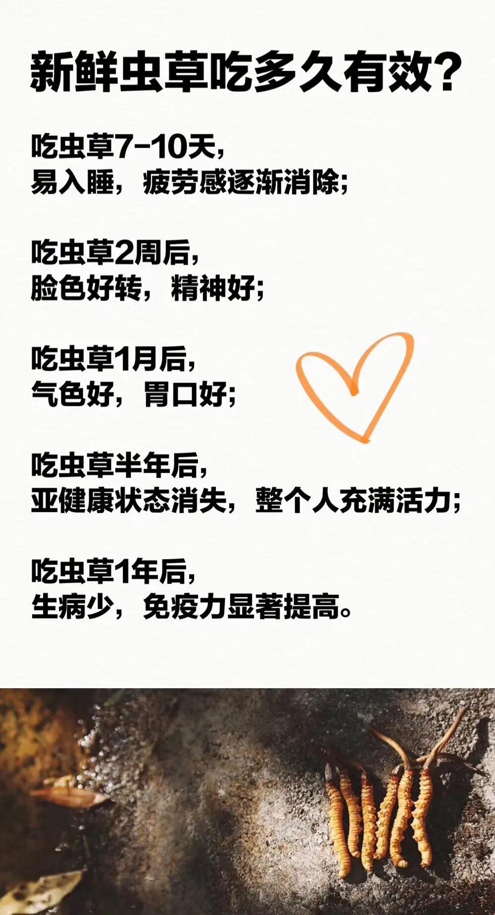 冬虫夏草鸡汤做法虫草放多少,孕妇虫草炖鸡汤一般放几根