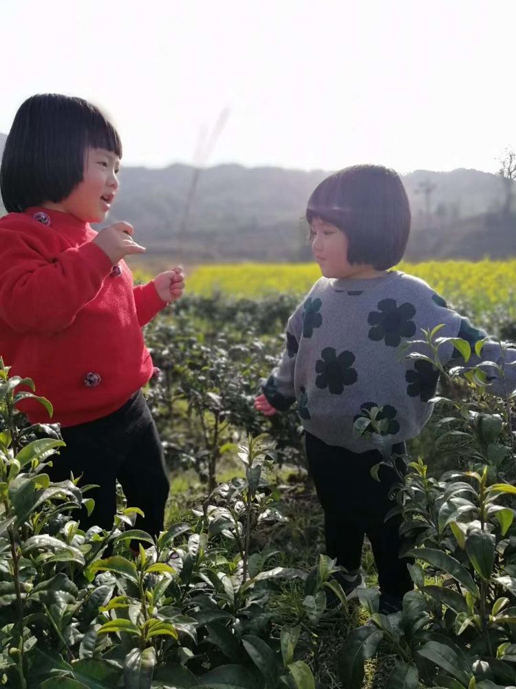 在家发明漏斗的小妙招,宅家带娃有哪些妙招