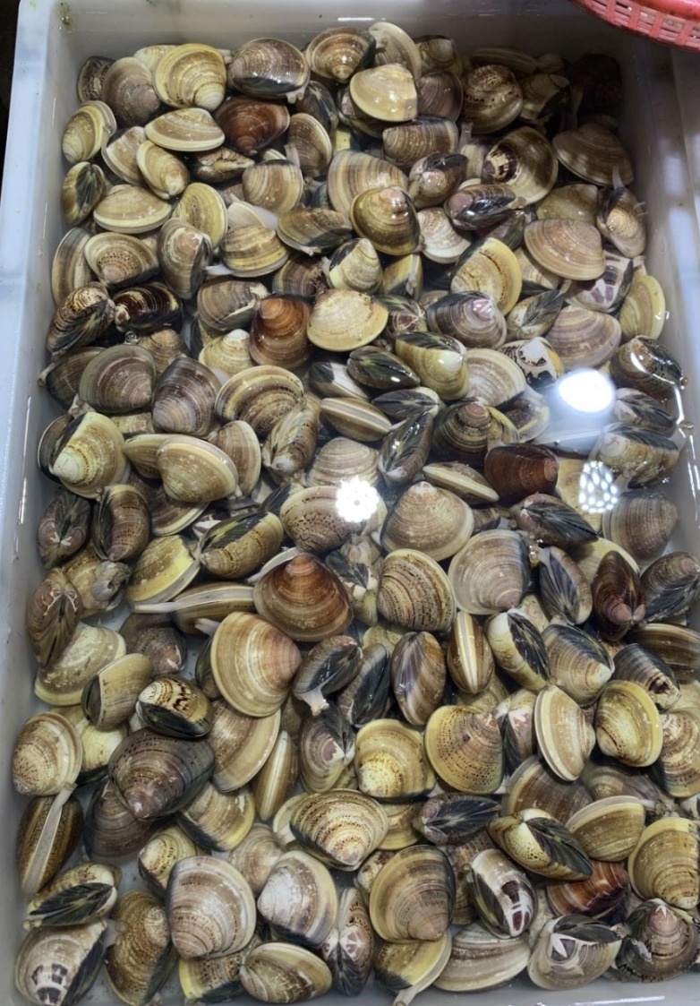 北海干货海鲜批发市场哪个便宜,北海菜市场买海鲜哪个最新鲜