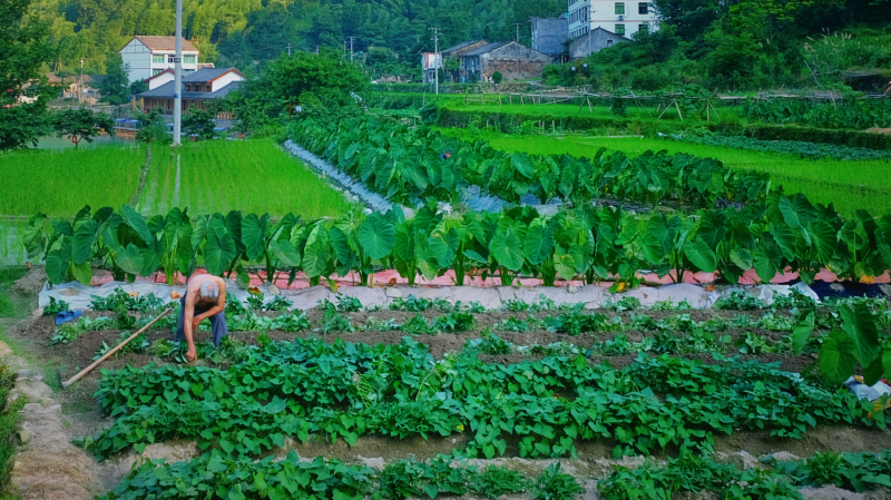 平阳水口村有什么景点可以玩,平阳水口村旅游