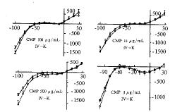 营养师如何科学补充钾,营养师教你如何补充蛋白质