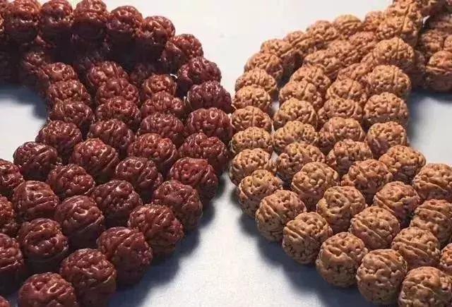 金刚菩提红了之后还继续盘吗,金刚菩提盘到什么程度才是最好的