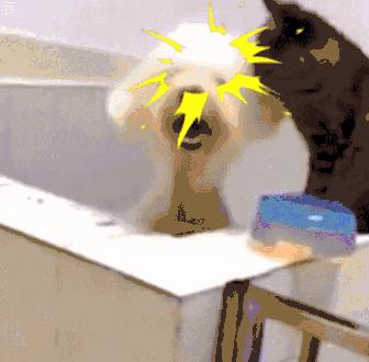 女生第一款卫生棉条 (适合女孩用的卫生棉条)