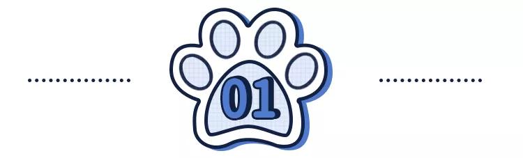 猫狗常用药品大全,猫狗必备药