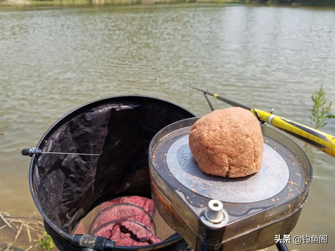 钓鱼买哪种饵料好,野钓用什么品牌方块饵料好
