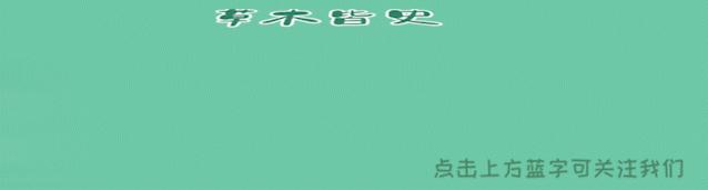 他被称作英国毒王，死后尸体不能被火化，棺材足足半米厚