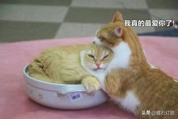 剑侠情缘3剑网三,剑侠情缘剑网3