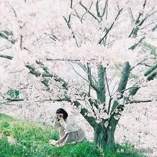 这才是最正宗的九宫格图,最简单的晒图方法