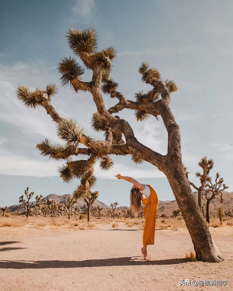 当瑜伽遇上摄影,男摄影师和瑜伽