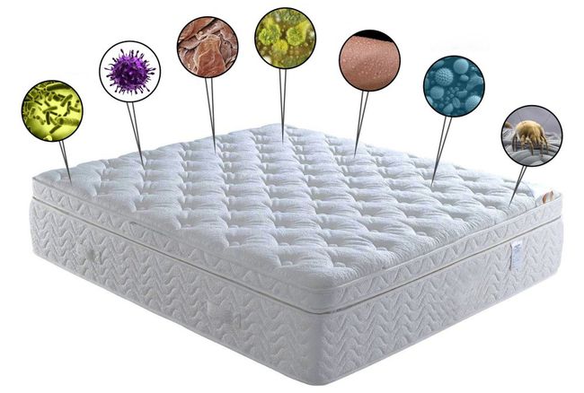 乳胶床垫小米8h,小米乳胶床垫2和8h青春版