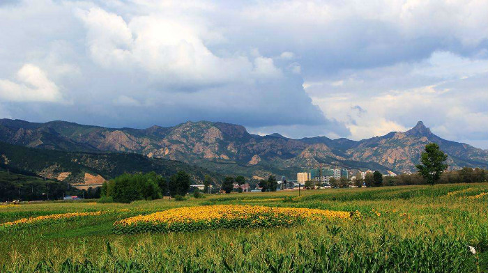 作为巴彦淖尔人，居然不知道一山两原是什么？