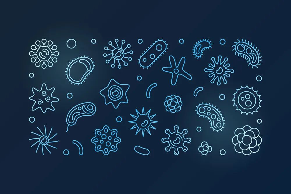 康立明生物估值多少亿,康立明生物融资历史