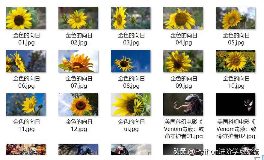爬取网页图片教程,教你一分钟爬取网页图片