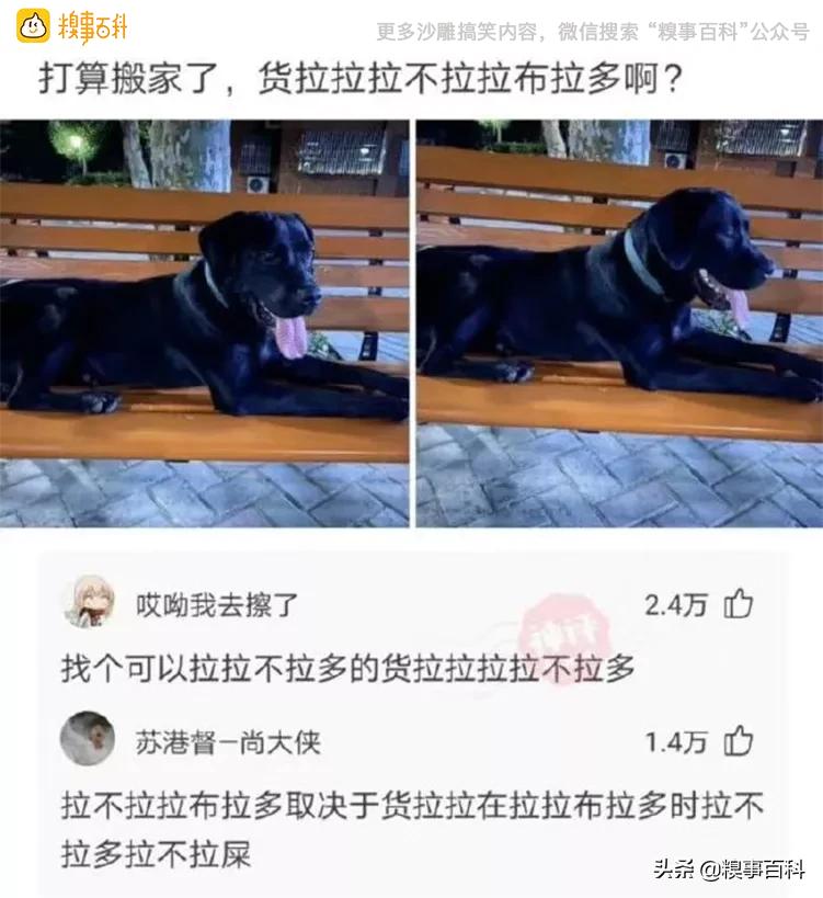 我愿意为富婆承受烦恼，请问在哪联系？