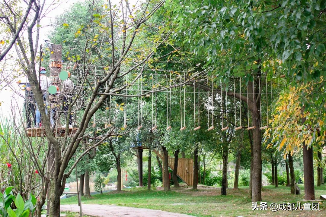 无滤镜公园随拍,无需加滤镜的公园