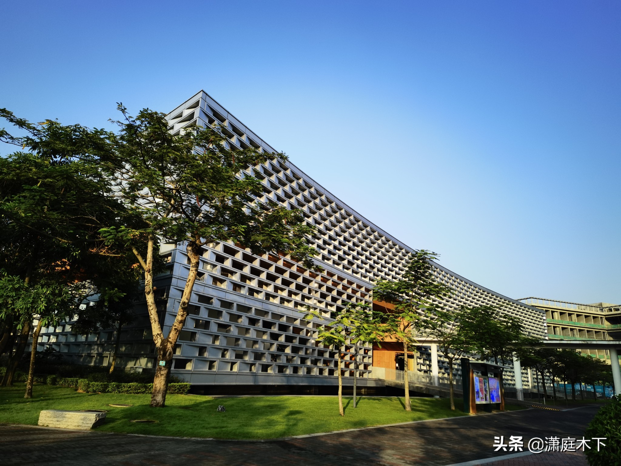 鹏城风光杂集，海与大学