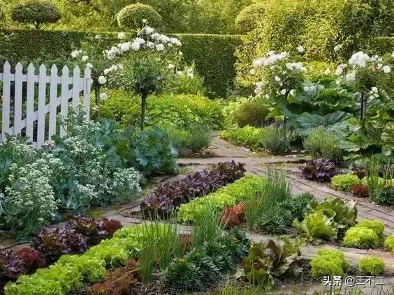 远赴人间盛宴谈笑风生不动情,远赴人间惊鸿宴谈笑风生不动情
