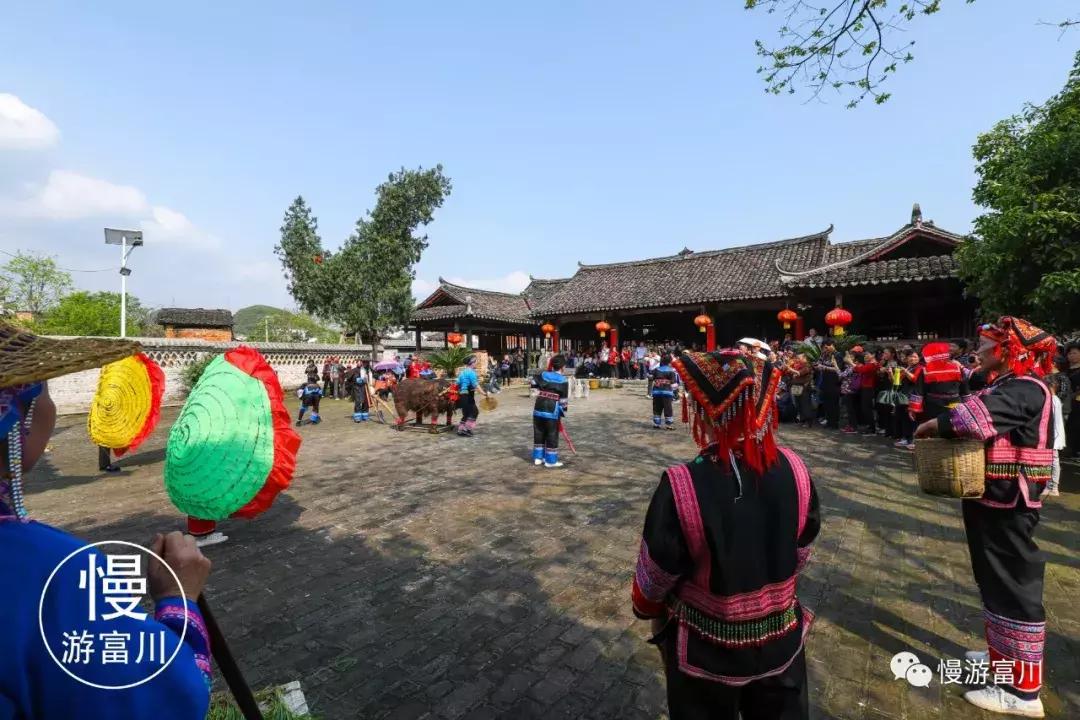 韩国富川旅行团,赞非