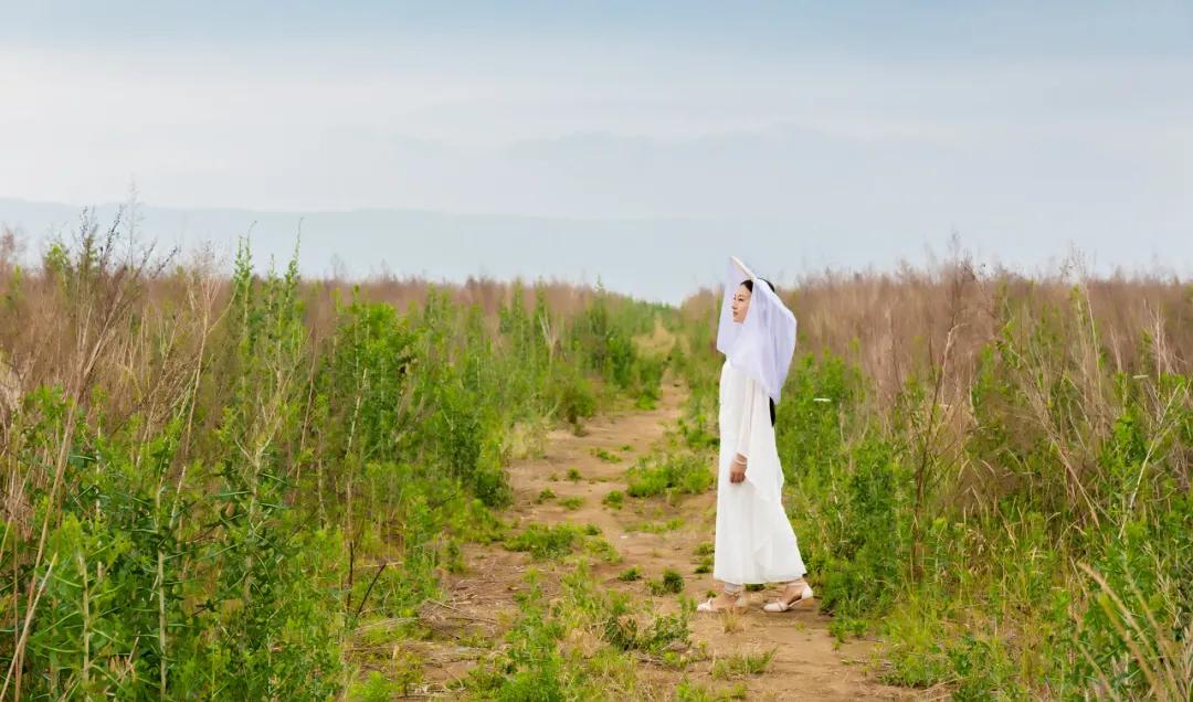 中国千年前一篇状元文,这篇传世奇文说尽人生六大悔事