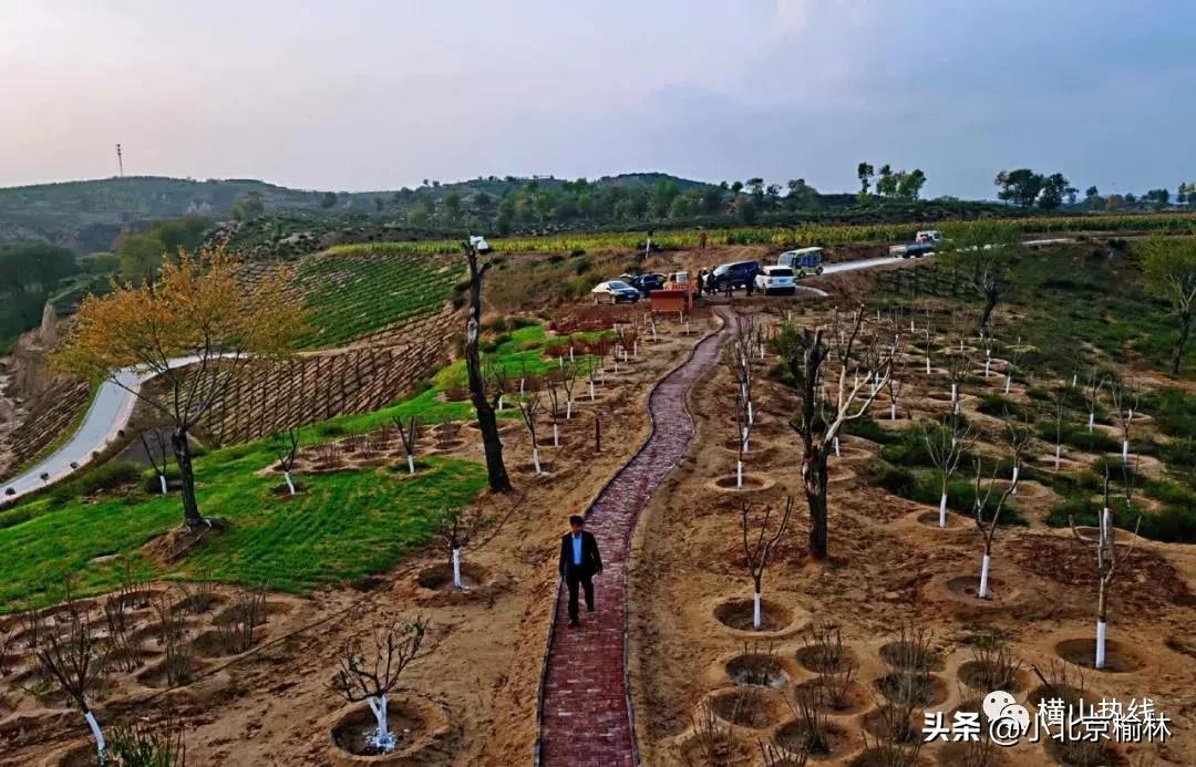 榆林麻黄梁地质公园,榆林麻黄地质公园旅游攻略