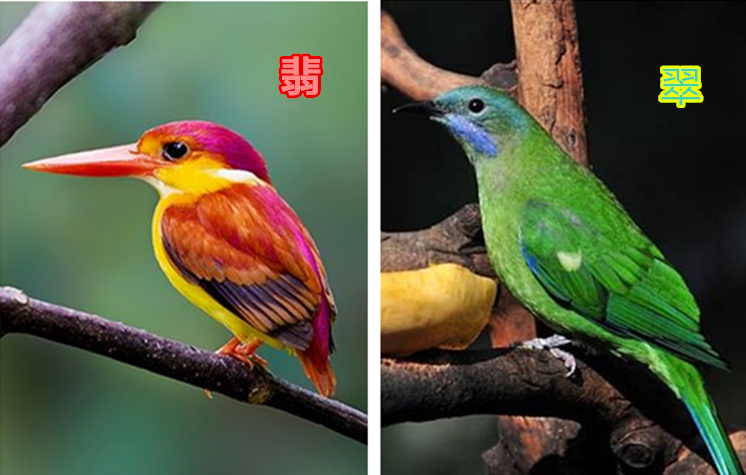 玉石鉴定真假翡翠,玉石鉴定翡翠真伪