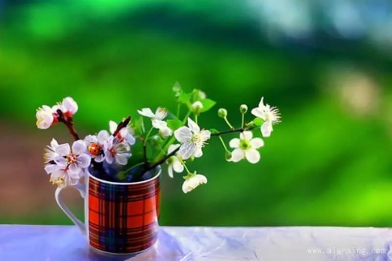 学会这3个表达方法,学会这三句话让你快速结束酒局