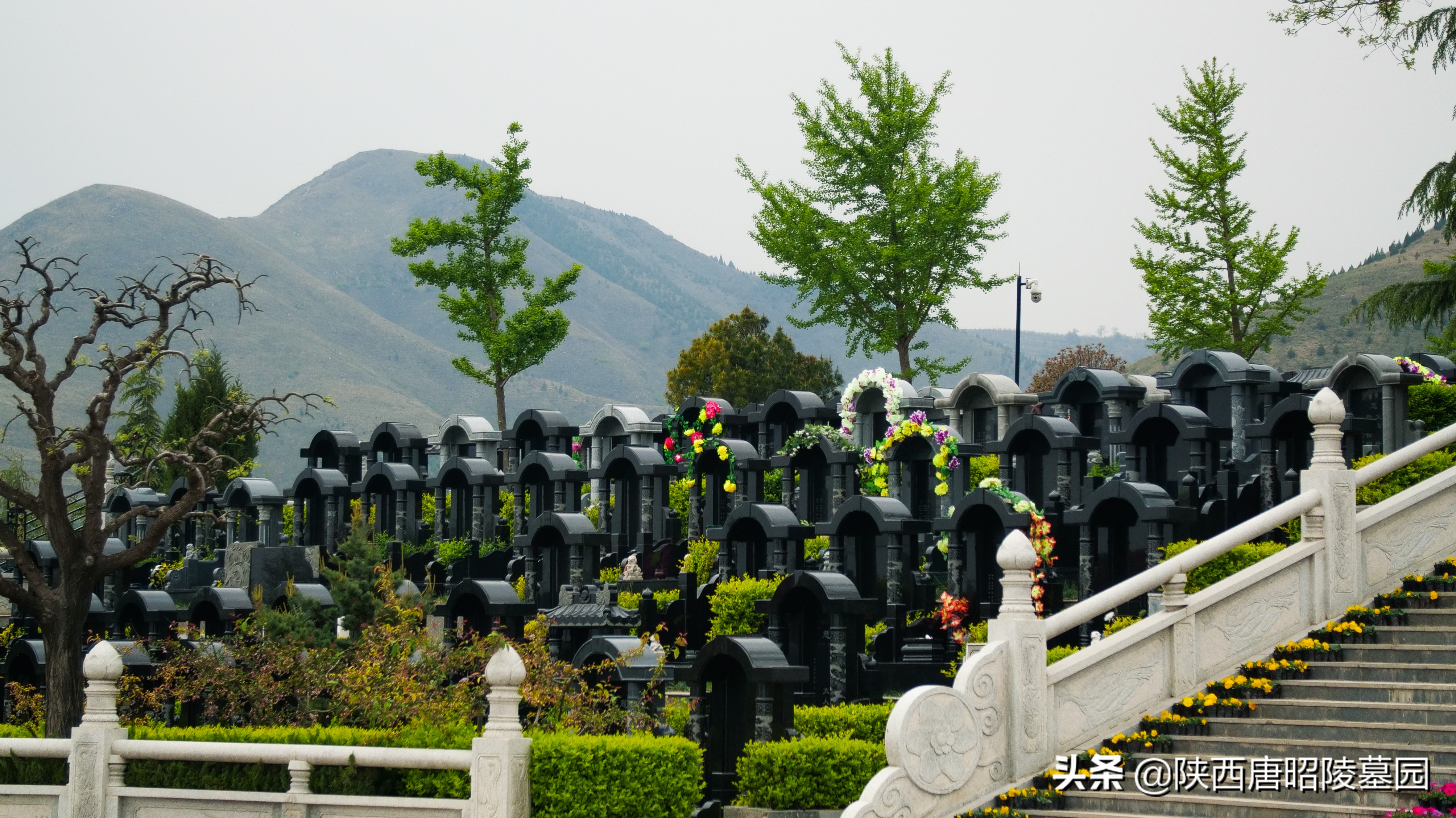 办理丧事一般流程,城市里老人过世丧事什么流程