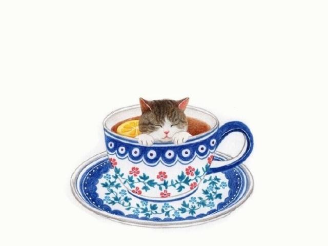 精辟又幽默的搞笑段子短句,最新朋友圈幽默搞笑说说