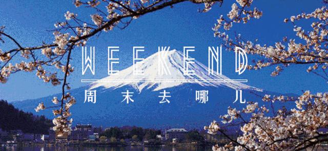 上海周末温暖如秋日,上海秋日休闲时光