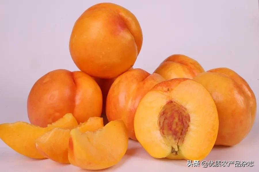 什么种类的黄桃最好吃又甜,鲜食黄桃品种哪个最好吃