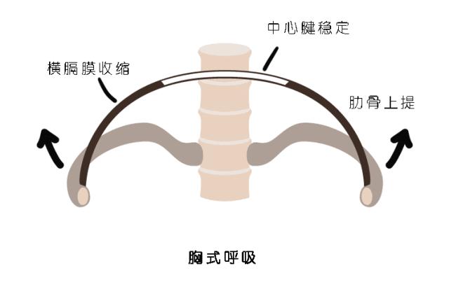 呼吸控制练习瑜伽,瑜伽练习时怎样吸气呼气