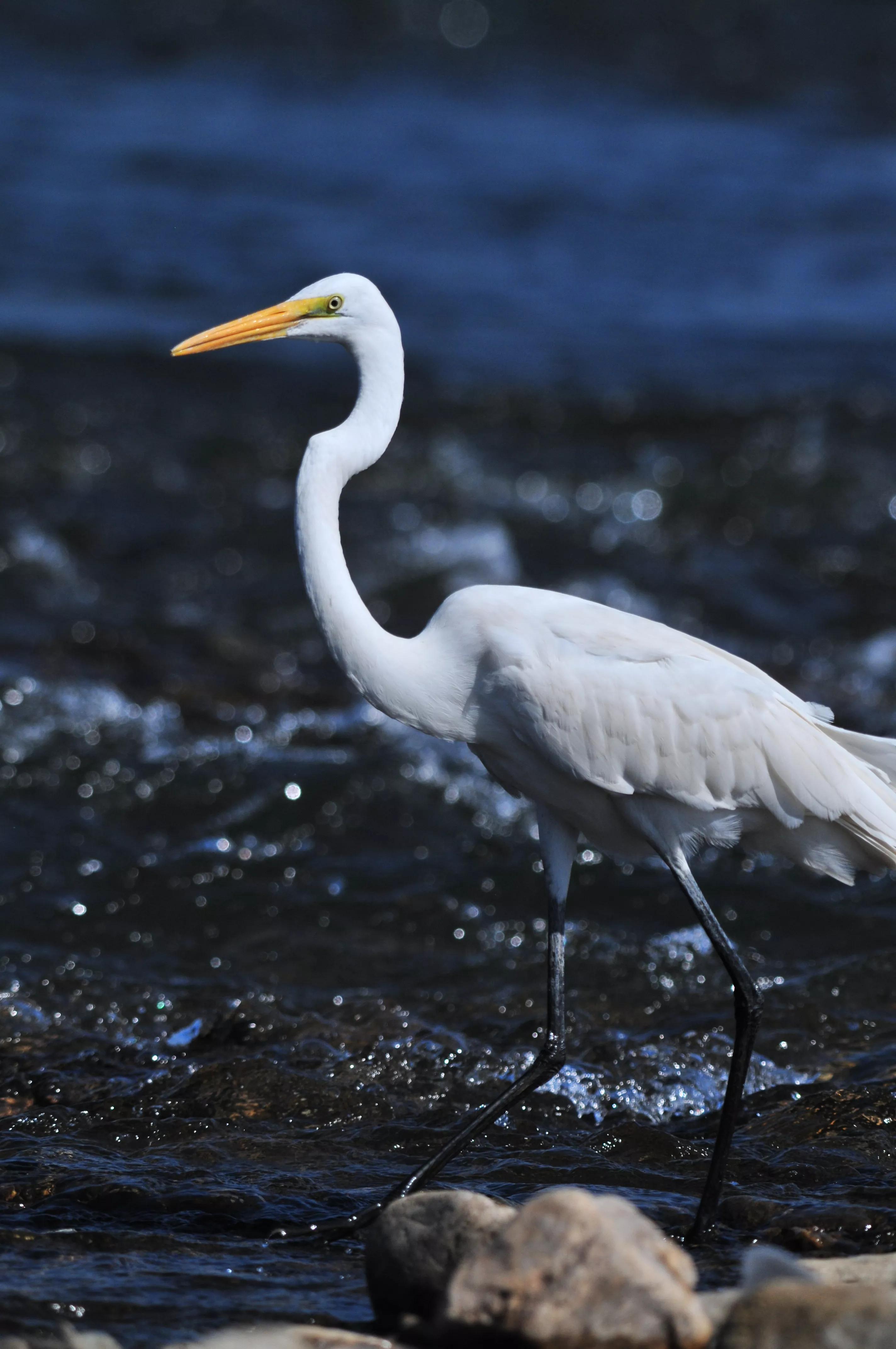 镜头装增距镜光圈会变化吗,镜头加增距镜后虚化效果会变好吗