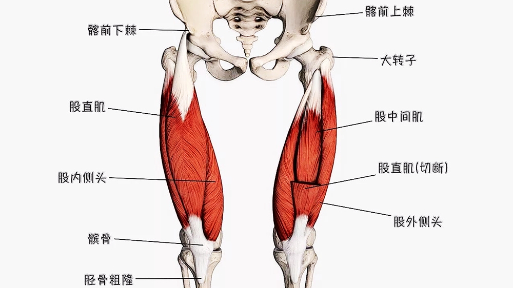 居家健身8分钟深蹲训练,在家健身的运动方式深蹲