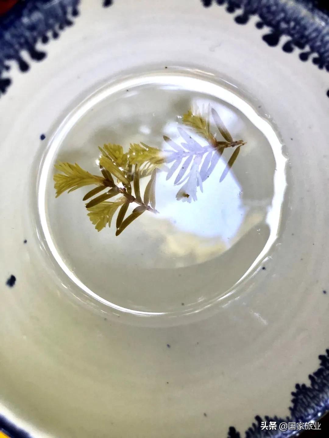 李蔚|旅游局的时代重任，是与目的地潮汐共振