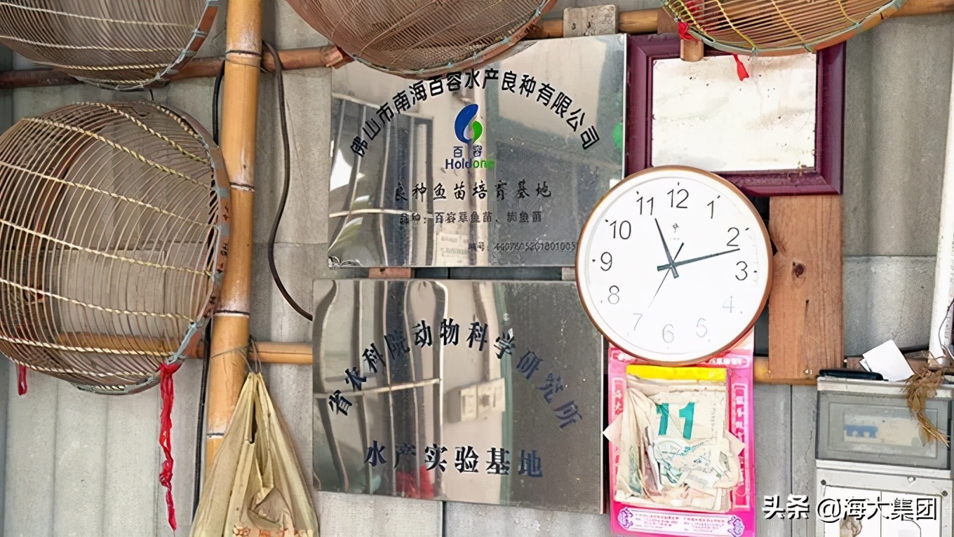 海大在湾区|农科院子弟牵手海大一同成长一同致富