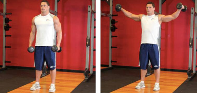 胳膊肥胖怎么减最快,怎么消除手臂上的肥胖纹