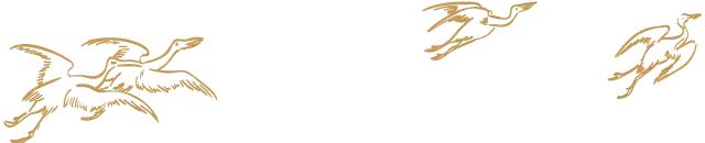 每日一字祝,每日一字吉祥话