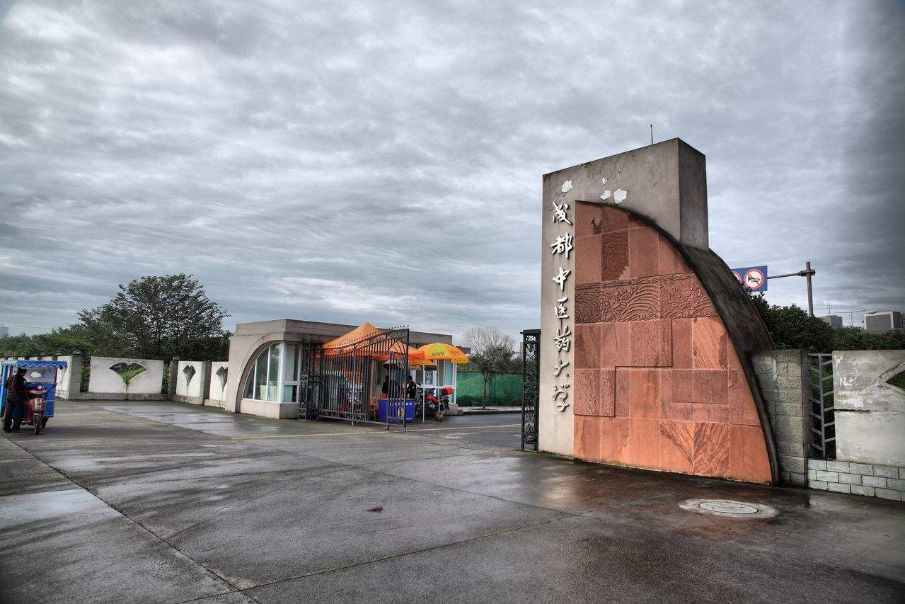 中医学——悬壶济世的中医专业