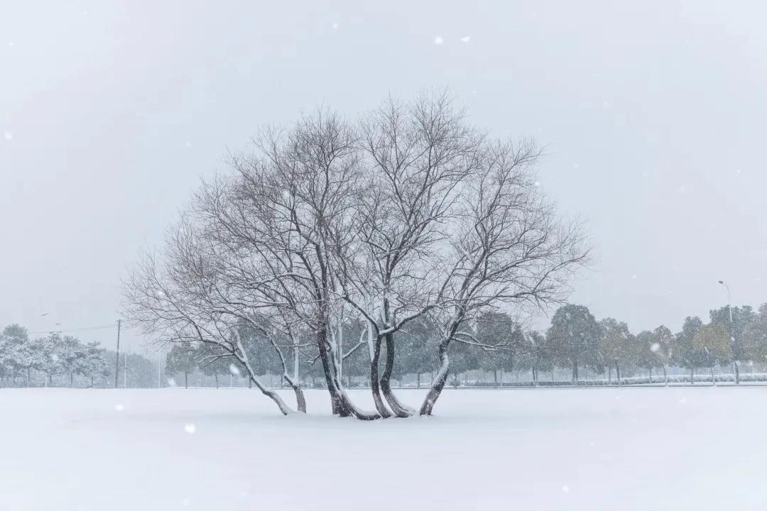 5大校区，占地超7千亩，图书馆藏书340余万册！安徽这所高校大到心累