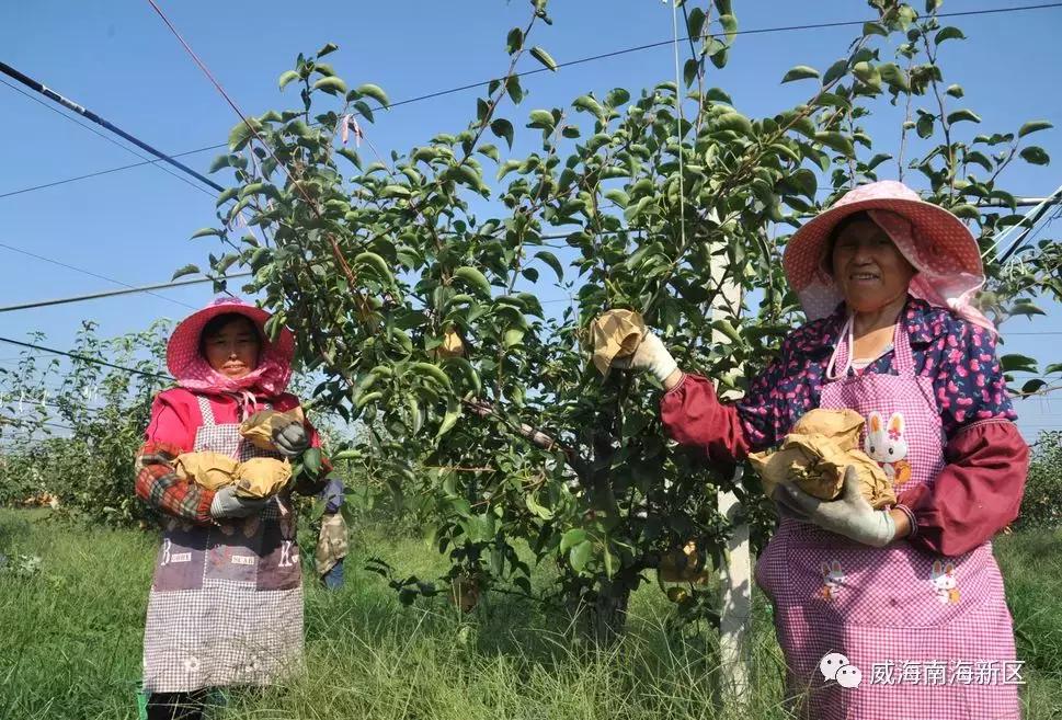 威海南海家园,威海南海新区最具幸福感城市