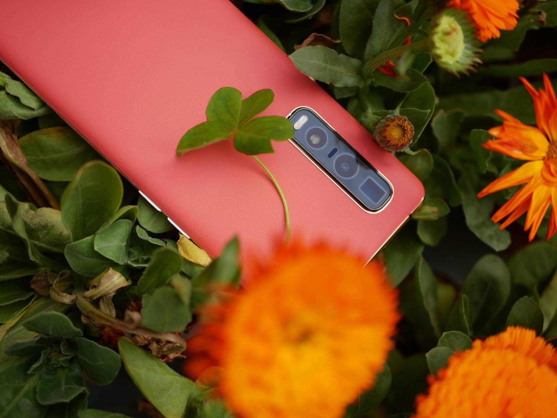 findx2pro什么价格,findx2pro发售价